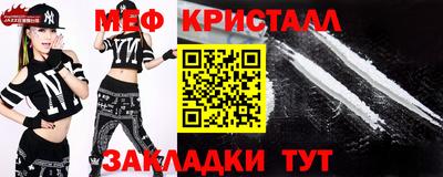 прущие грибы Можайск