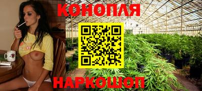 прущие грибы Можайск
