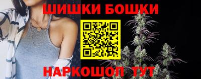 шишки Можга