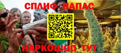 шишки Можга