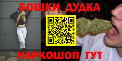 шишки Можга