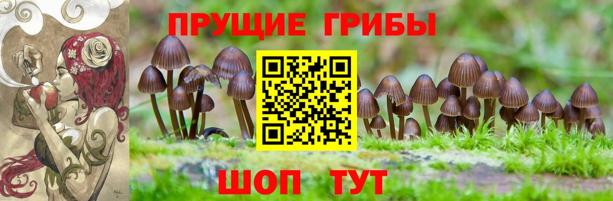 Псилоцибиновые грибы Cubensis  Вход с VPN  Галлюциногенные грибы прущие грибы  Щёлково 