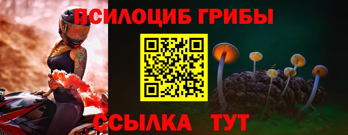 Псилоцибиновые грибы Cubensis Щёлково